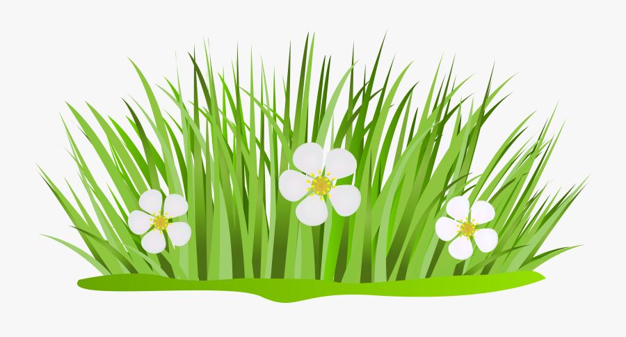 28 Collection Of Patch Of Grass Clipart - Grass With Flowers Clipart, Transparent Clipart