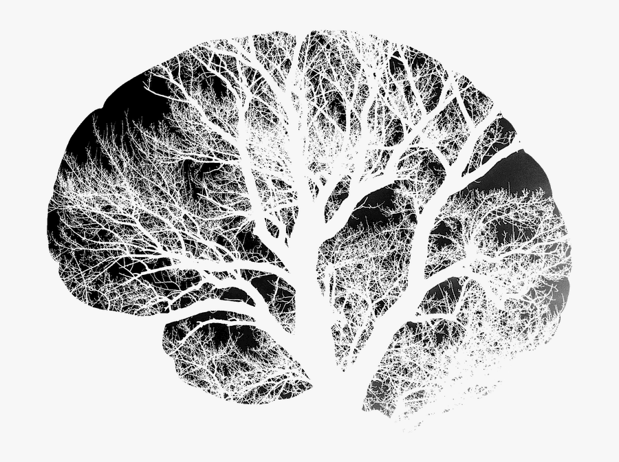 Transparent Brain Outline Clipart Black And White - Brain Art Black And White, Transparent Clipart