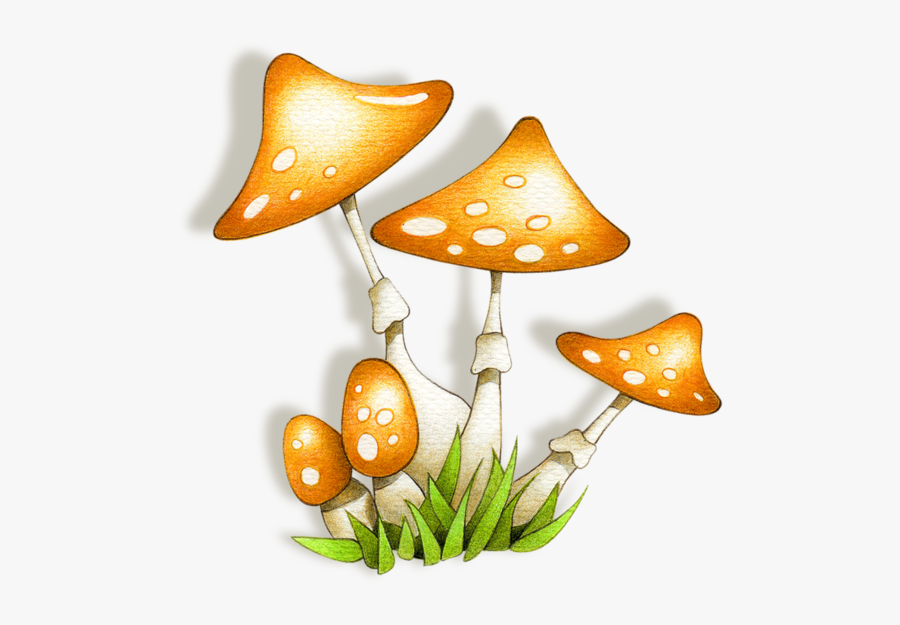 Russula Integra, Transparent Clipart