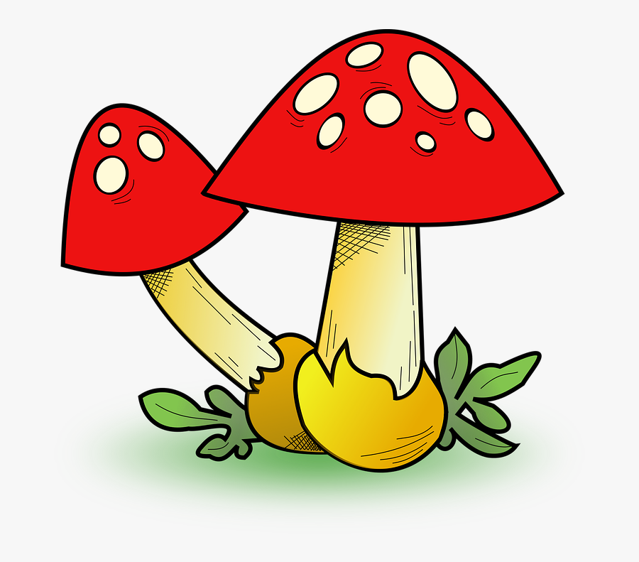 Mushroom Clipart, Transparent Clipart