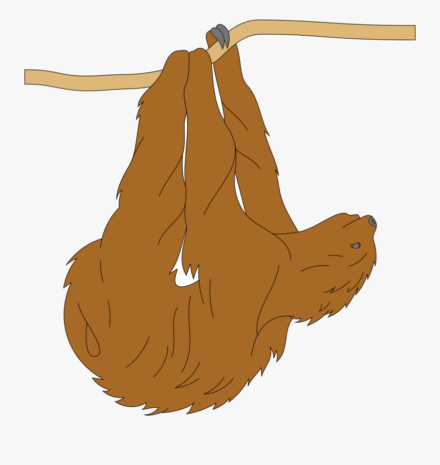 Sloth, Transparent Clipart