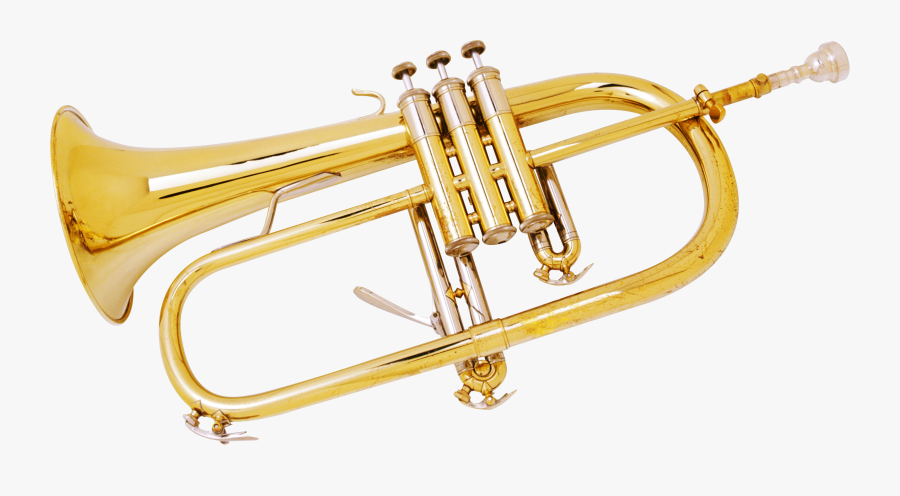 Transparent Background Trumpet Gif, Transparent Clipart