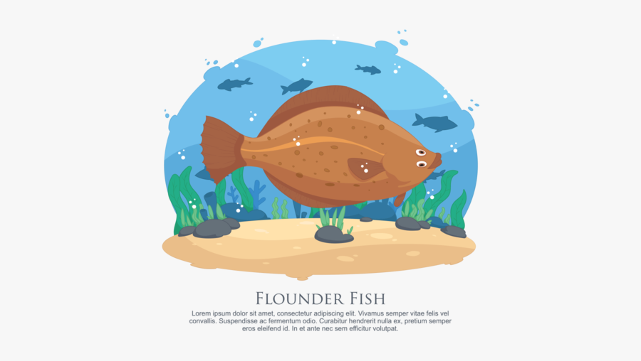 Flounder Fish Vector Illustration - Illustration, Transparent Clipart