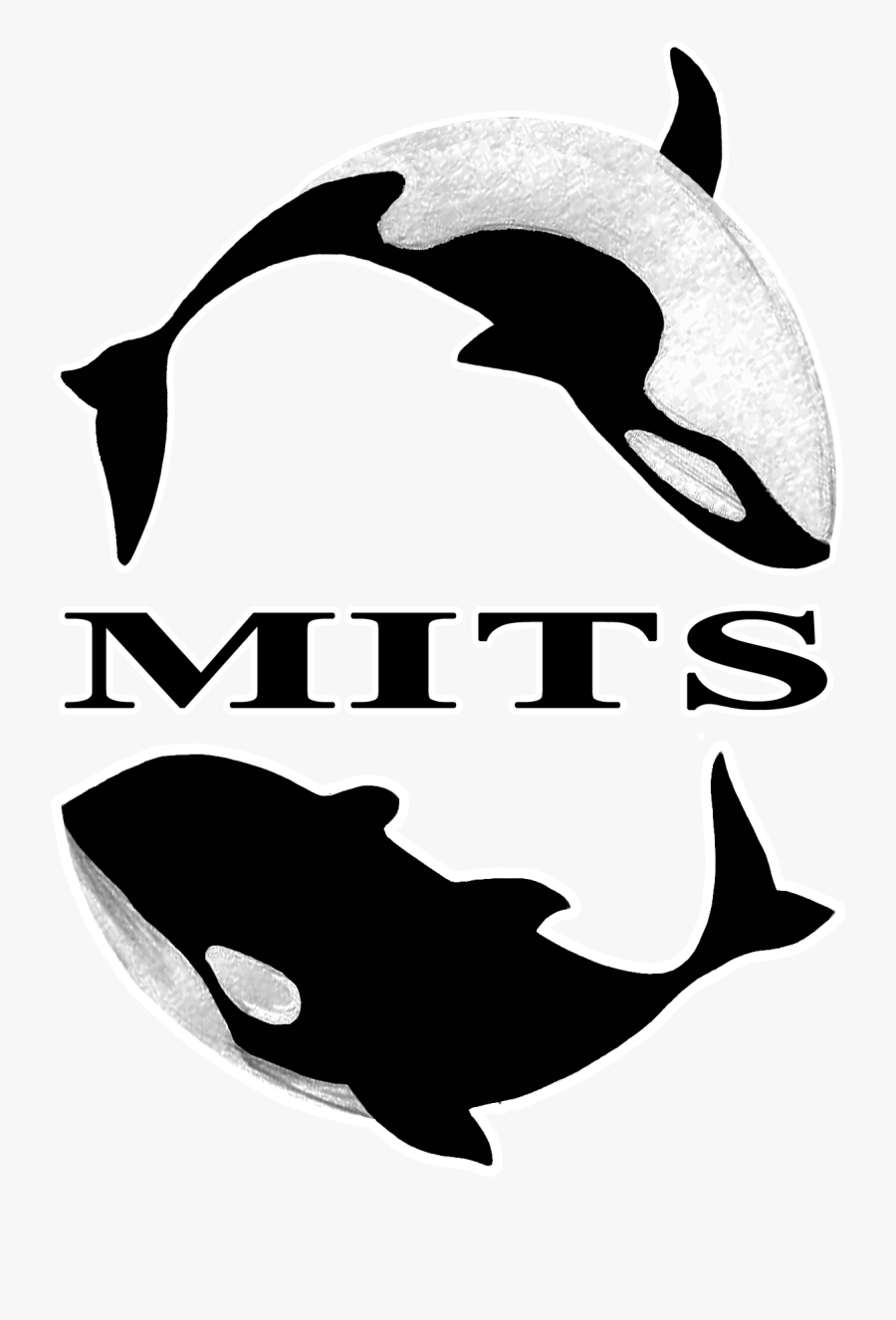 Dolphins Snorkeling Clipart , Png Download - Facem, Transparent Clipart