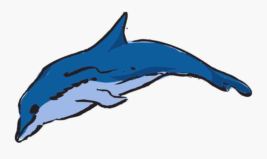 Dolphin Ocean Leaping Free Photo - Warna Ikan Lumba Lumba, Transparent Clipart