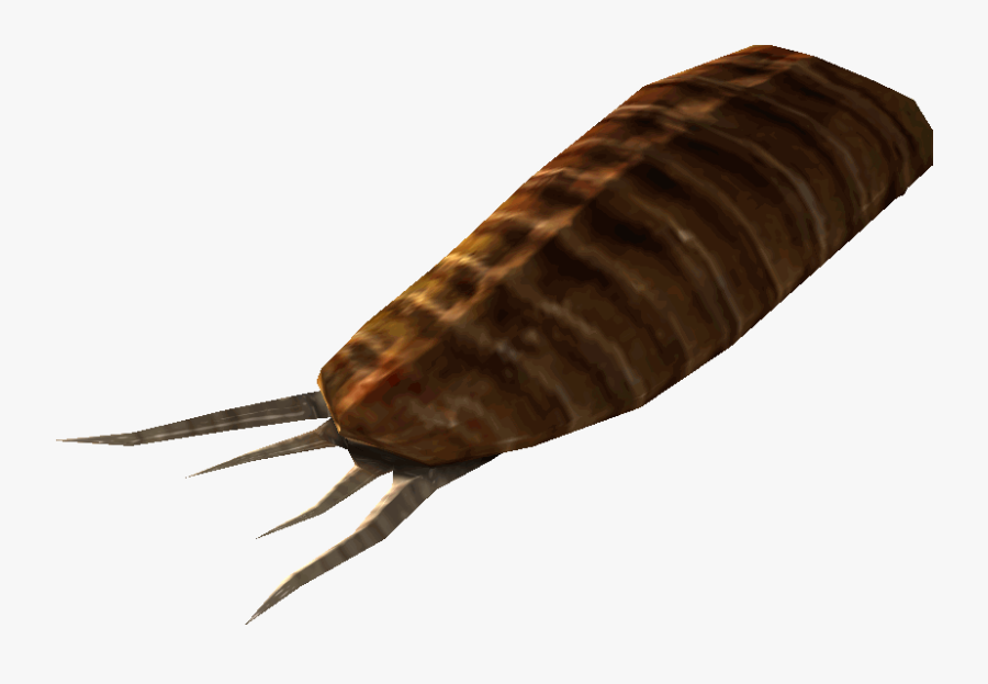 Radroach Meat - Oniscidea, Transparent Clipart