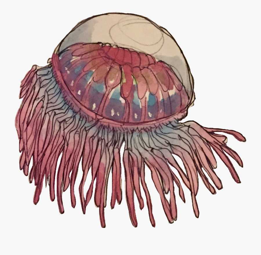 Illustration, Transparent Clipart