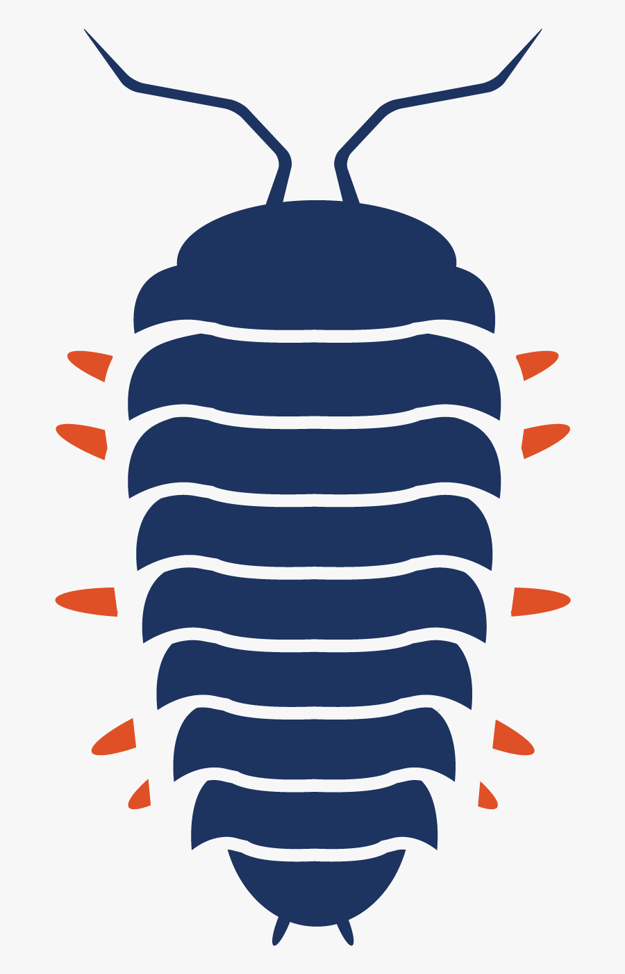 Oniscidea, Transparent Clipart