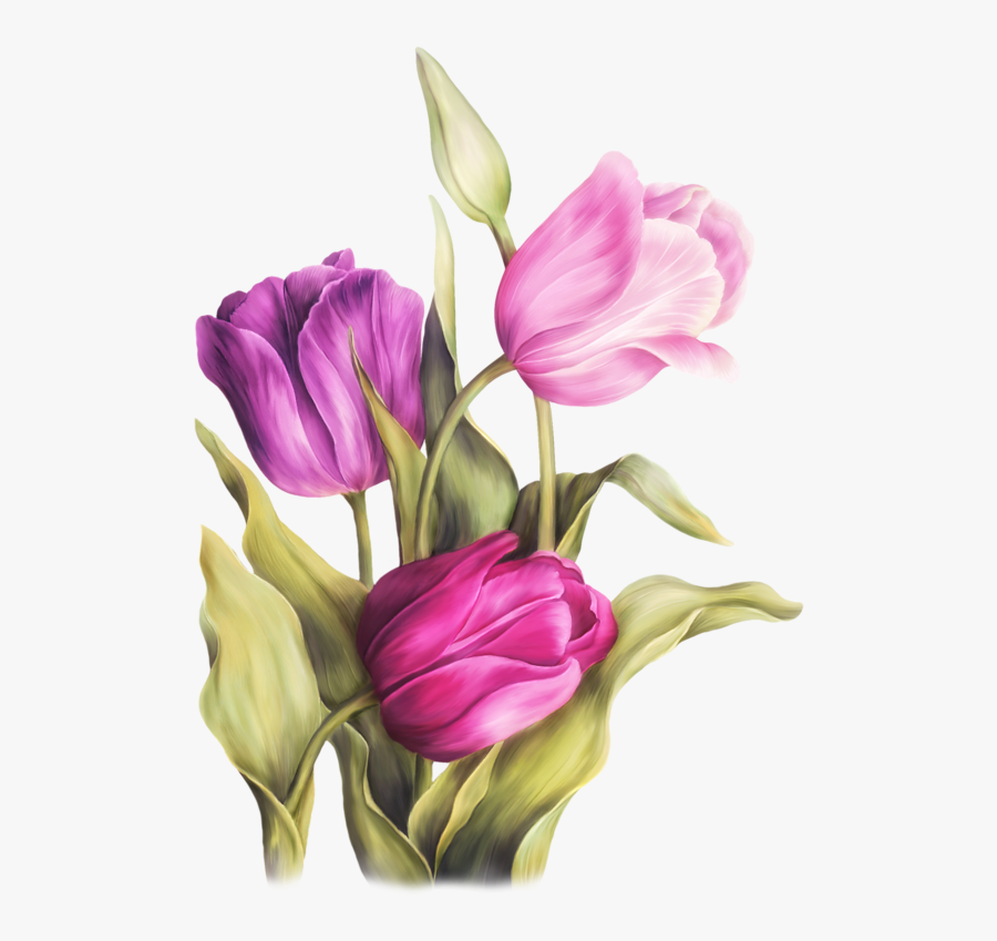 Eclectic Flowers Pinterest Decoupage - Flower Colored Pencil Drawings, Transparent Clipart