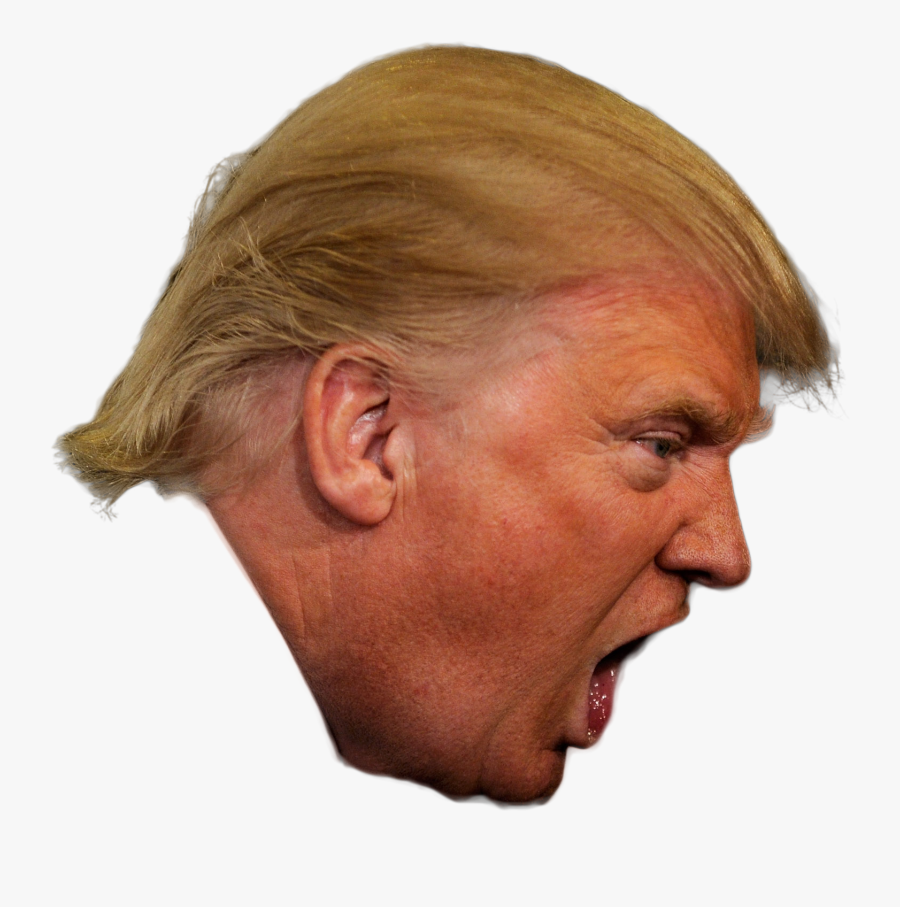 Transparent Trump Clipart - Transparent Background Trump Head, Transparent Clipart