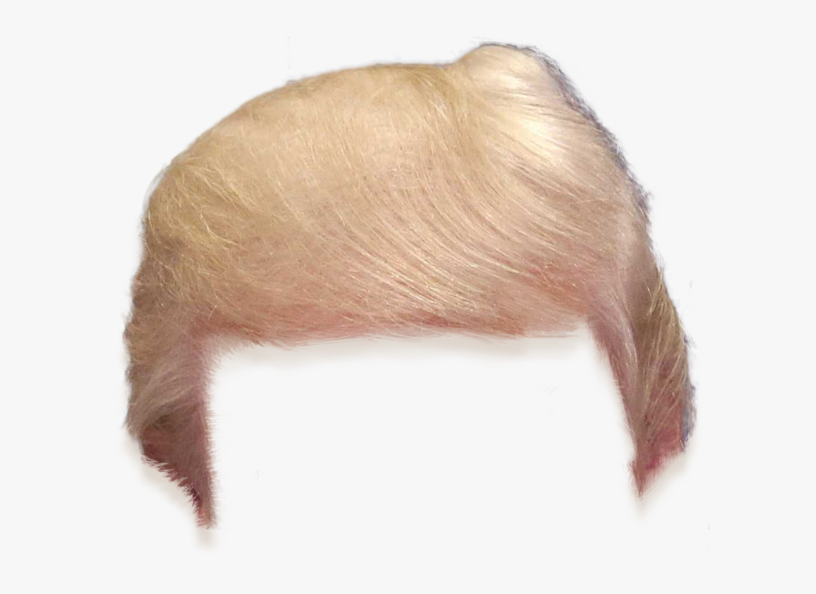 Transparent Background Trump Hair, Transparent Clipart