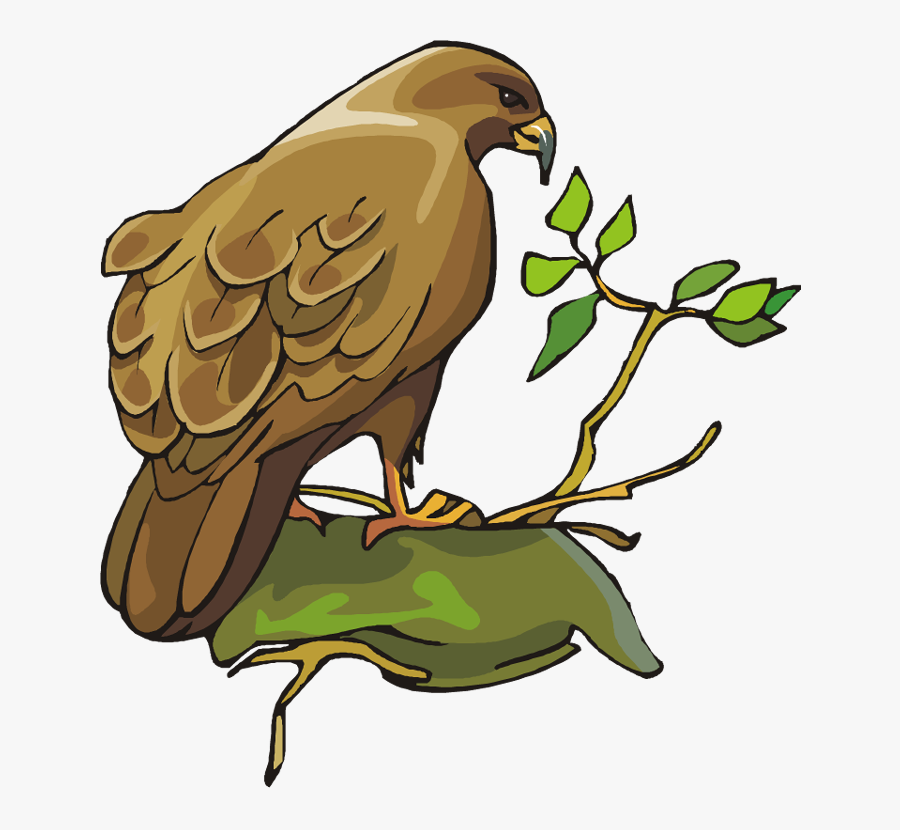 Bird Of Prey, Transparent Clipart