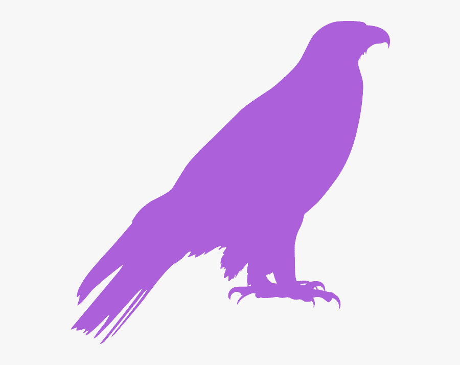 Buzzard, Transparent Clipart