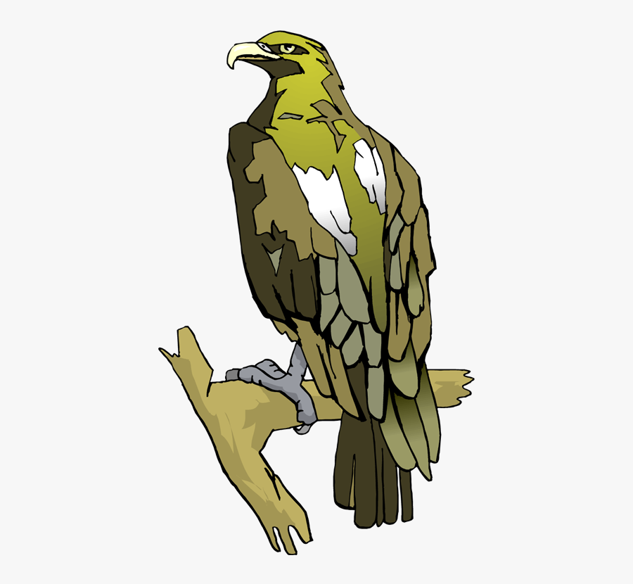 Osprey, Transparent Clipart