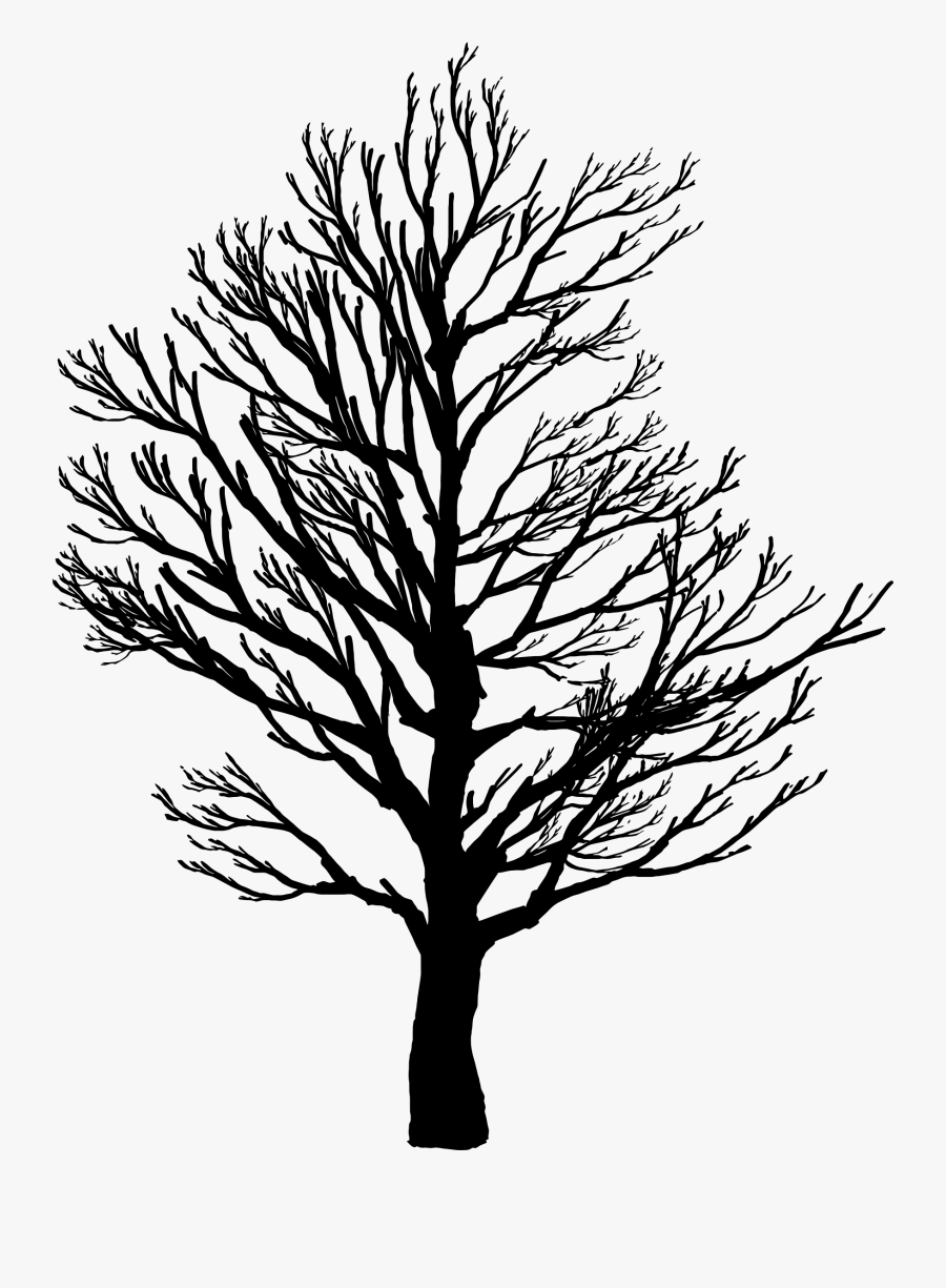 Family Reunion Tree Clipart - Barren Tree Silhouette Png, Transparent Clipart