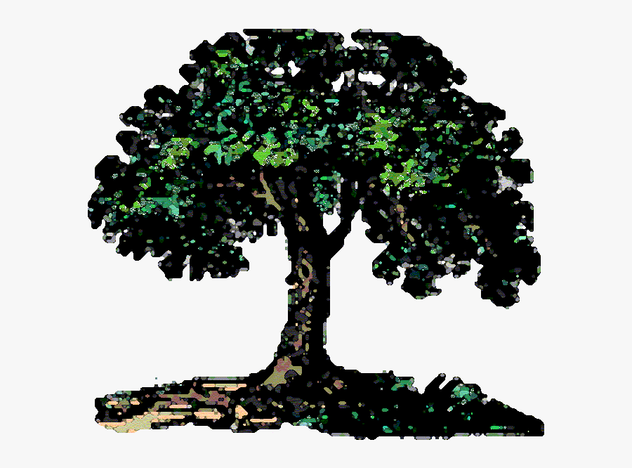 Best The Families With Family Tree Animated - Black And White Brazilian Nut Tree, Transparent Clipart