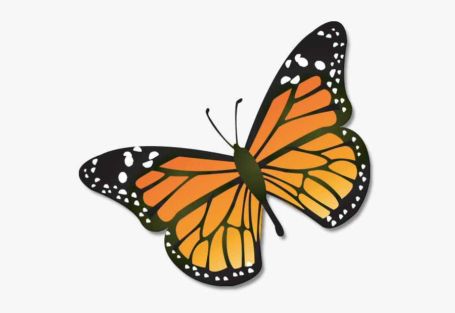 Cartoon Monarch Butterfly - Monarch Butterfly Clipart, Transparent Clipart