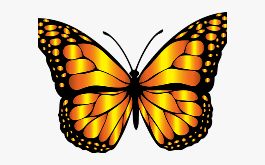 Monarch Butterfly Clipart Png Full Hd - Redbubble Butterfly Sticker, Transparent Clipart