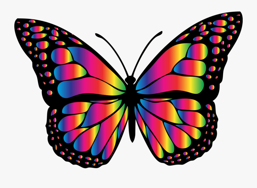 Grey Butterfly Clipart, Transparent Clipart