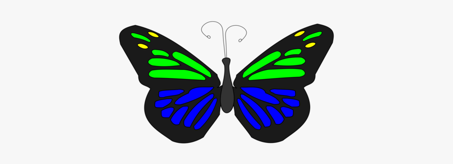 Butterfly - Transparent Butterfly Animated Png, Transparent Clipart