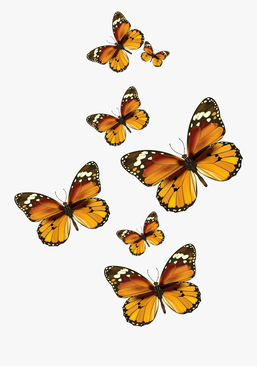 Butterflies Vector Png Clipart Pictureu200b Gallery - Painted Lady Butterfly Clip Art, Transparent Clipart