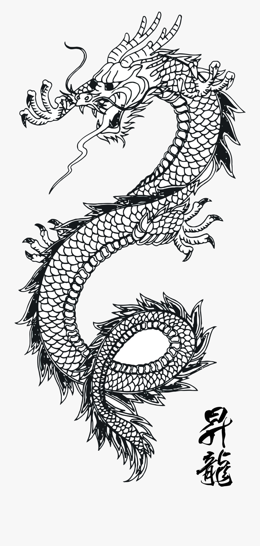 Clip Art Pin By Rhonda Stockstill - Chinese Dragon Line Art, Transparent Clipart
