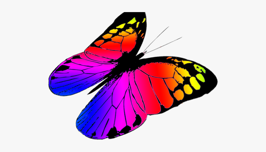 Monarch Butterfly Clipart Betterfly - Colorful Butterflies Flying Png, Transparent Clipart