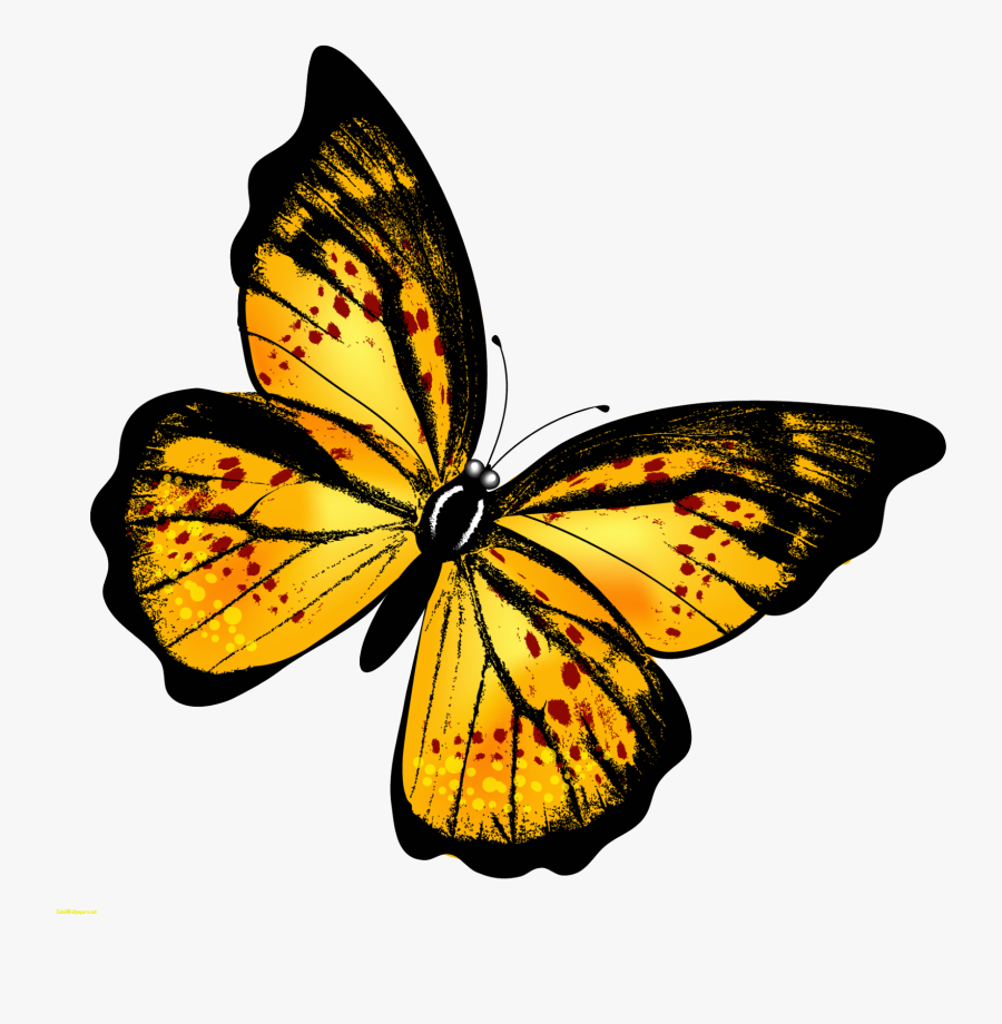 Monarch Butterfly Clipart Hindu God - Yellow Black Butterfly Transparent, Transparent Clipart