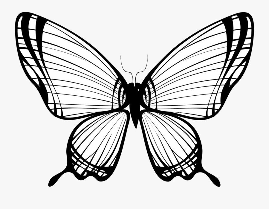 Transparent Butterfly Wings : Butterfly PNG Image - PurePNG | Free transparent CC0 PNG ... : Butterfly transparent wings illustrations & vectors.