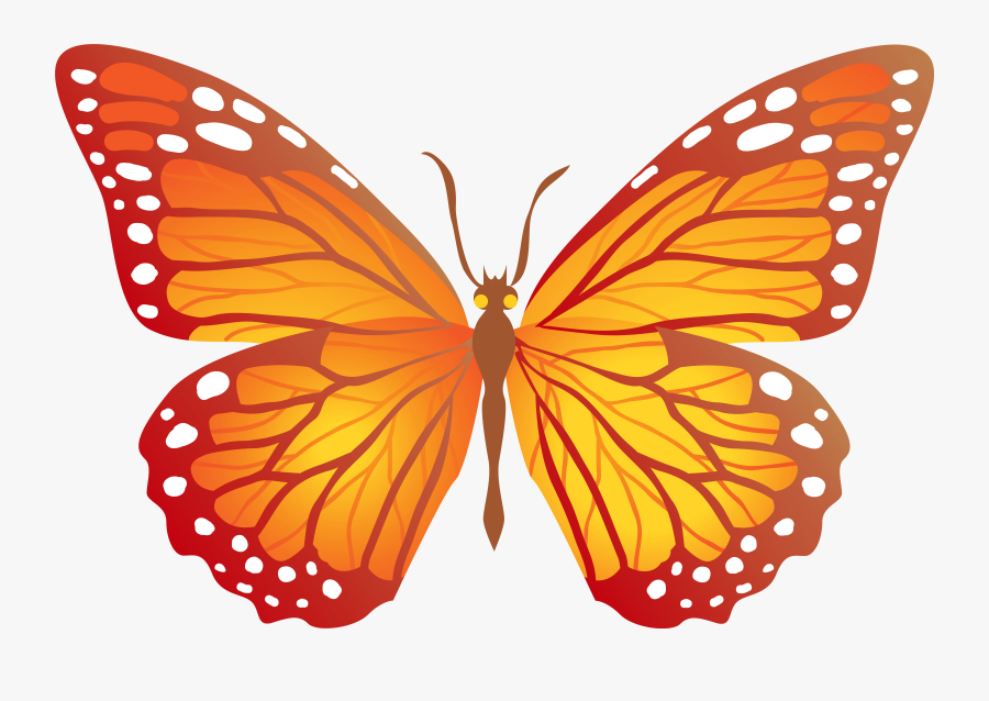 Butterfly Cliparts Png Orange - Butterfly Yellow And Orange, Transparent Clipart