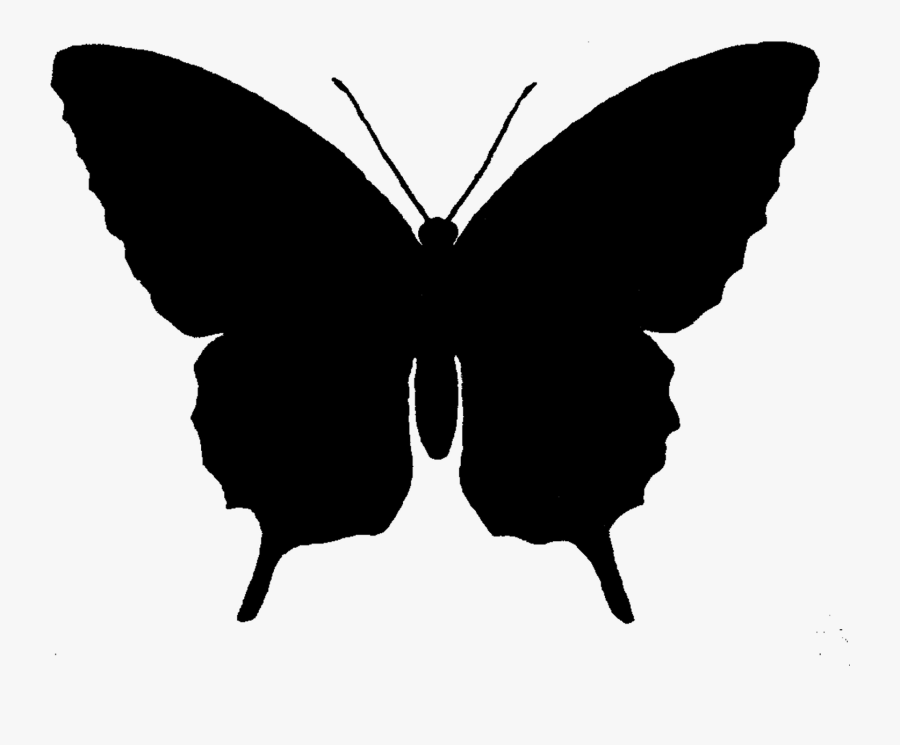 Clip Art Monarch Butterfly Silhouette - Butterfly Silhouette Clip Art, Transparent Clipart