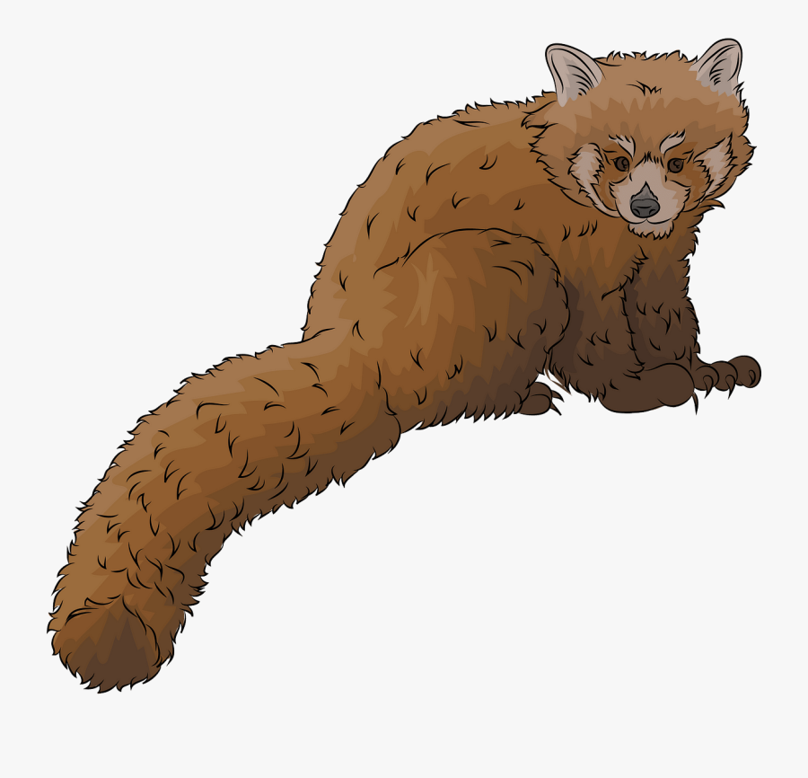 Caterpillar, Transparent Clipart