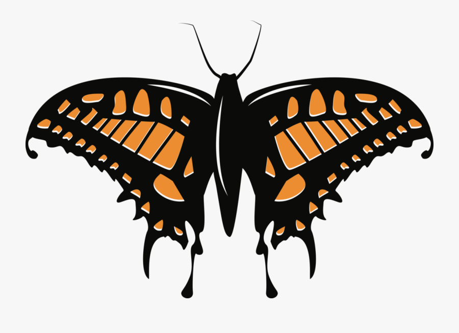 Butterfly,emperor Moths,brushfooted Butterfly - Dame Edna Sunglasses, Transparent Clipart