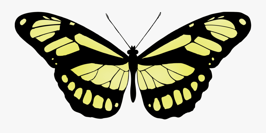 Butterfly,monochrome Photography,symmetry - Butterfly Printmaking, Transparent Clipart