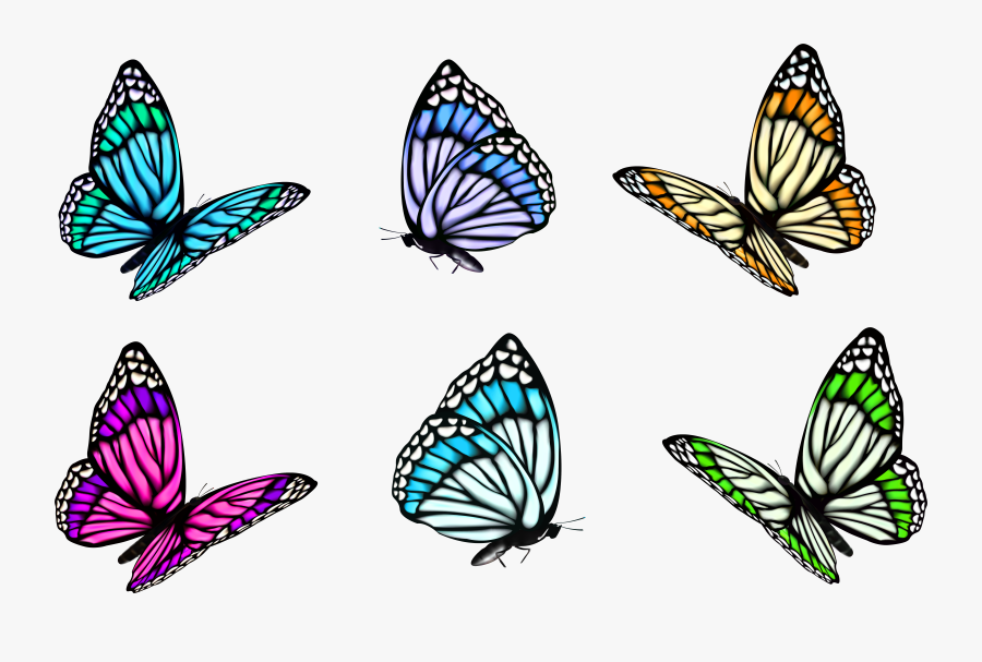 Butterflies Clipart Butterfly Transparent, Transparent Clipart