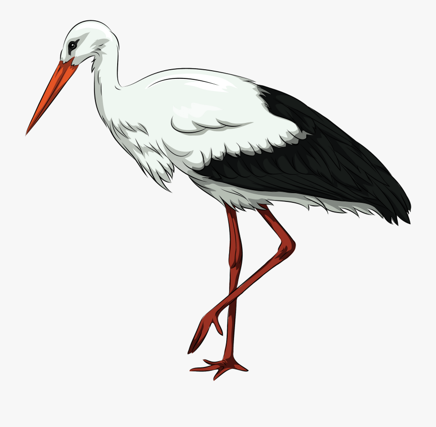 White Stork, Transparent Clipart
