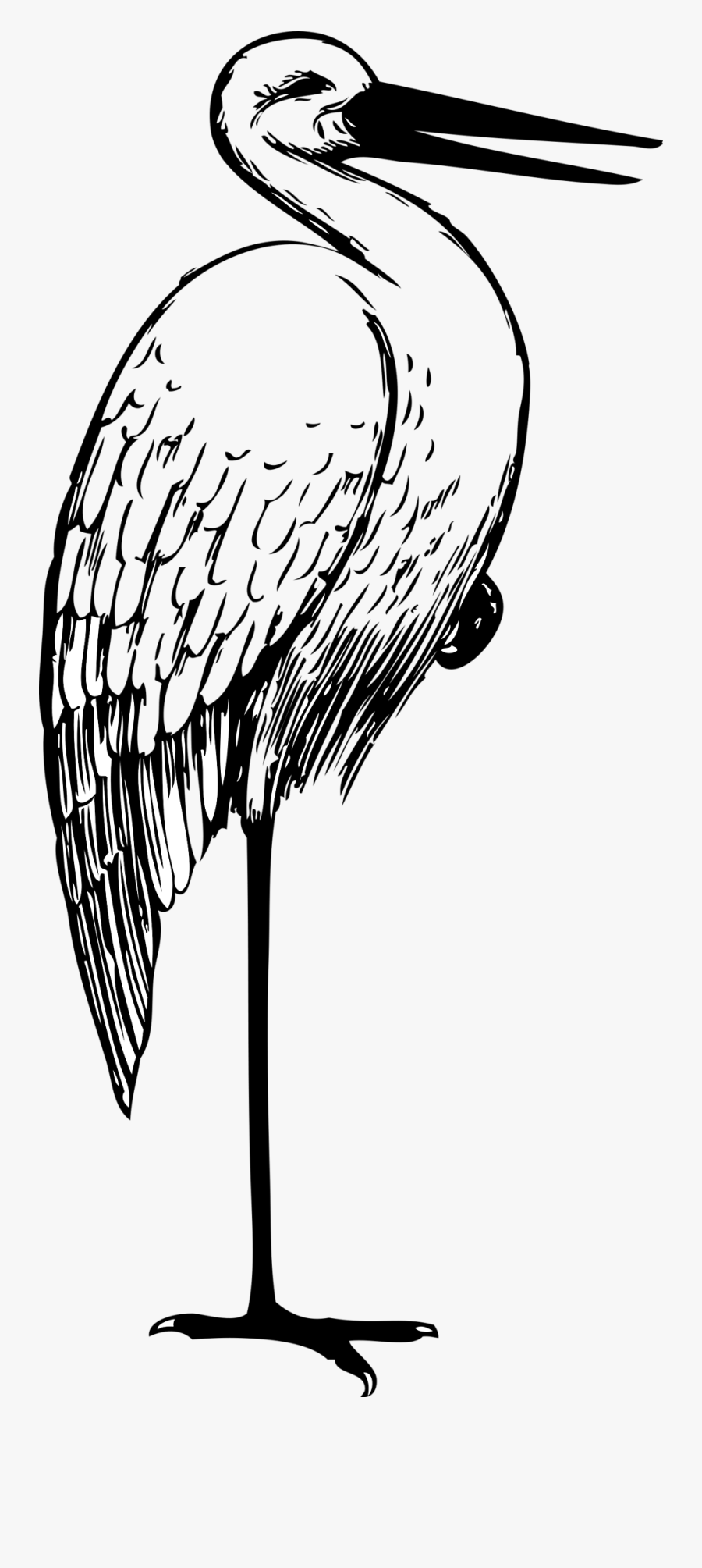 Stork Clipart By Johnny Automatic - Stork Clipart, Transparent Clipart