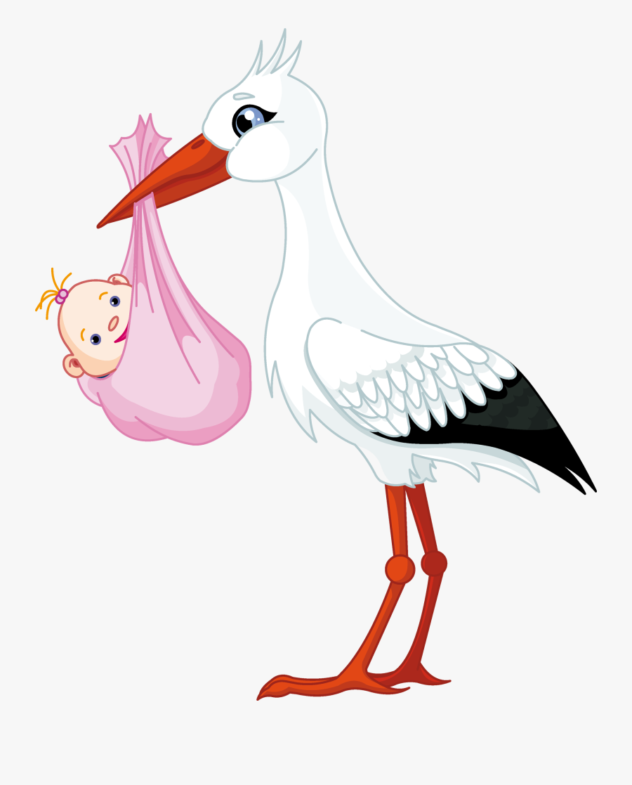 Stork Bird Duck Swan Goose - Stork Baby Png, Transparent Clipart