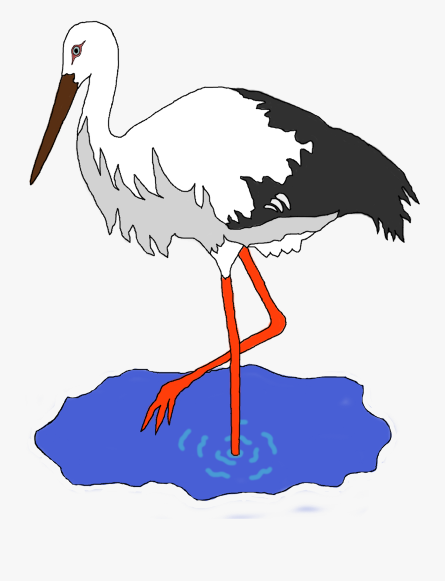 Seabird,water Bird,ciconiiformes - Stork Clipart, Transparent Clipart