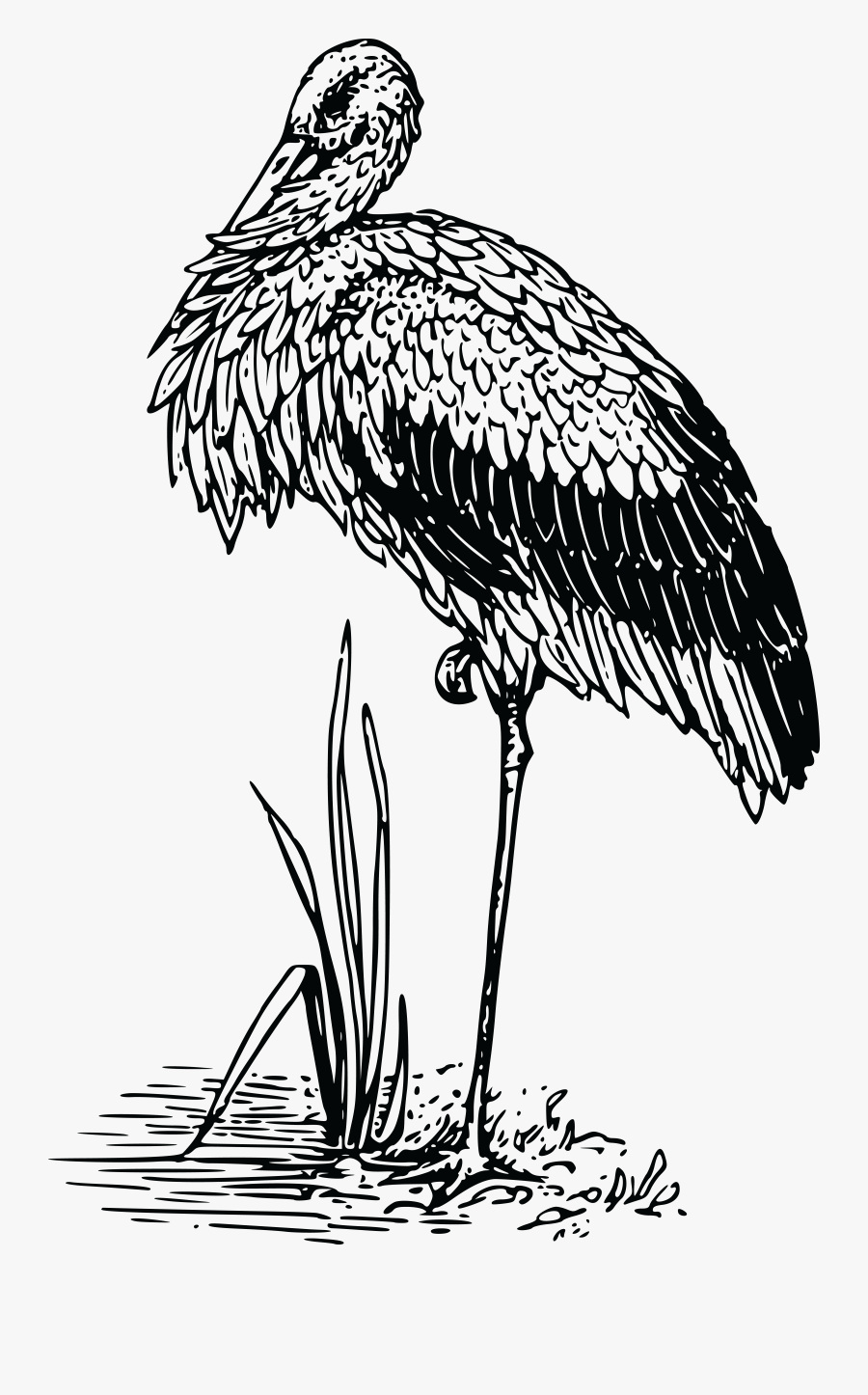 Free Clipart Of A Stork - Stork, Transparent Clipart