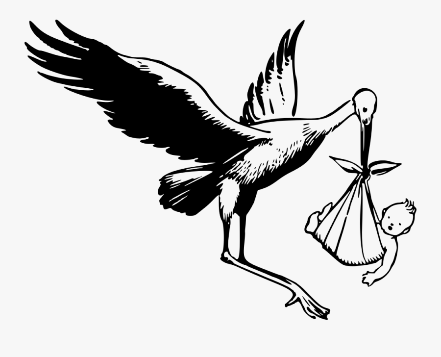Art,monochrome Photography,galliformes - Stork Clipart Black And White, Transparent Clipart