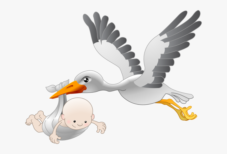 Transparent Stork Clipart - Stork Baby, Transparent Clipart