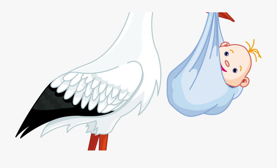 Stork With Baby Png Clipart , Png Download - Stork With Baby Png, Transparent Clipart