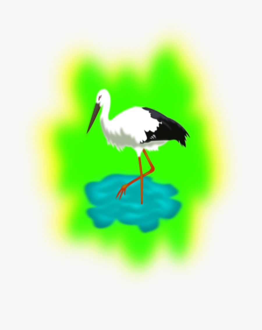 Stork In Water Clipart, Transparent Clipart