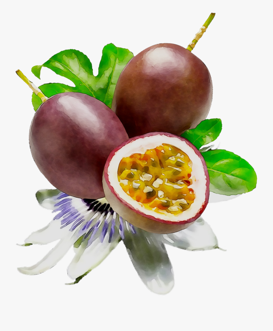 Food Fruit Passion Lipstick Cosmetics Png Free Photo - Passion Fruit Flower Png, Transparent Clipart