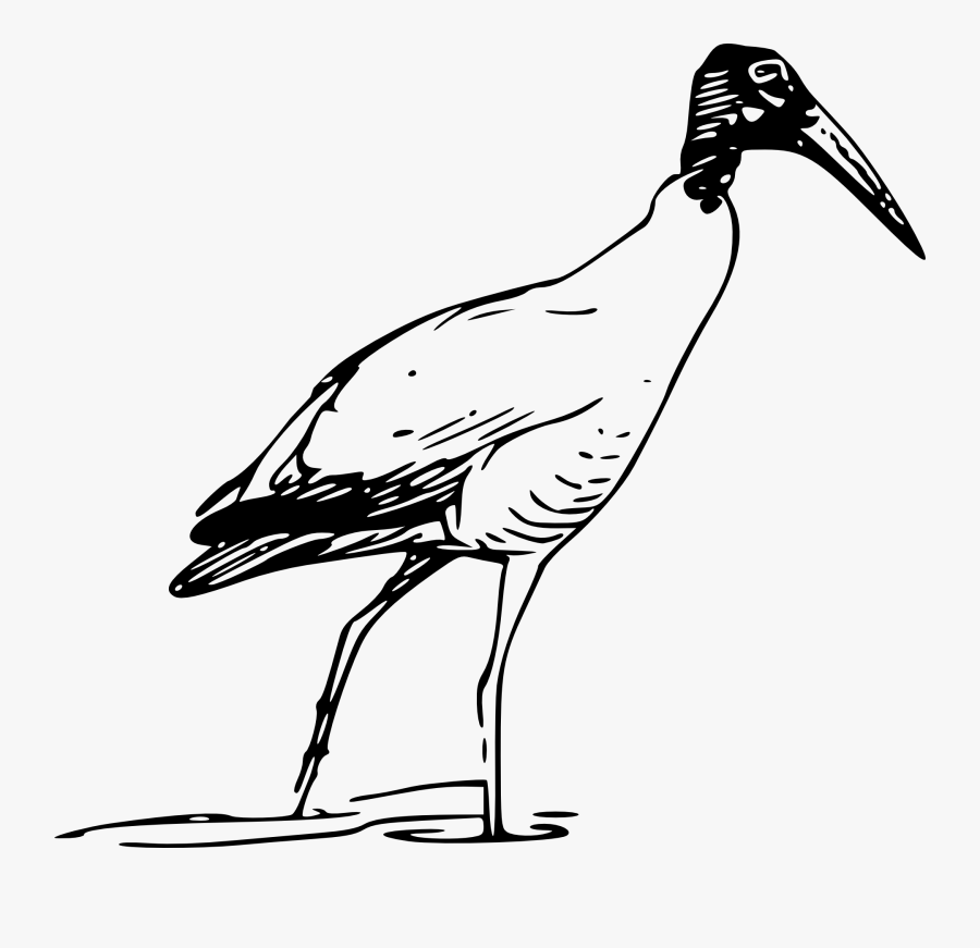 Free Clipart - Ibis Clipart, Transparent Clipart