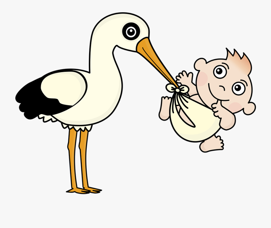 Baby Diapers Stork P - Nascimento Png, Transparent Clipart