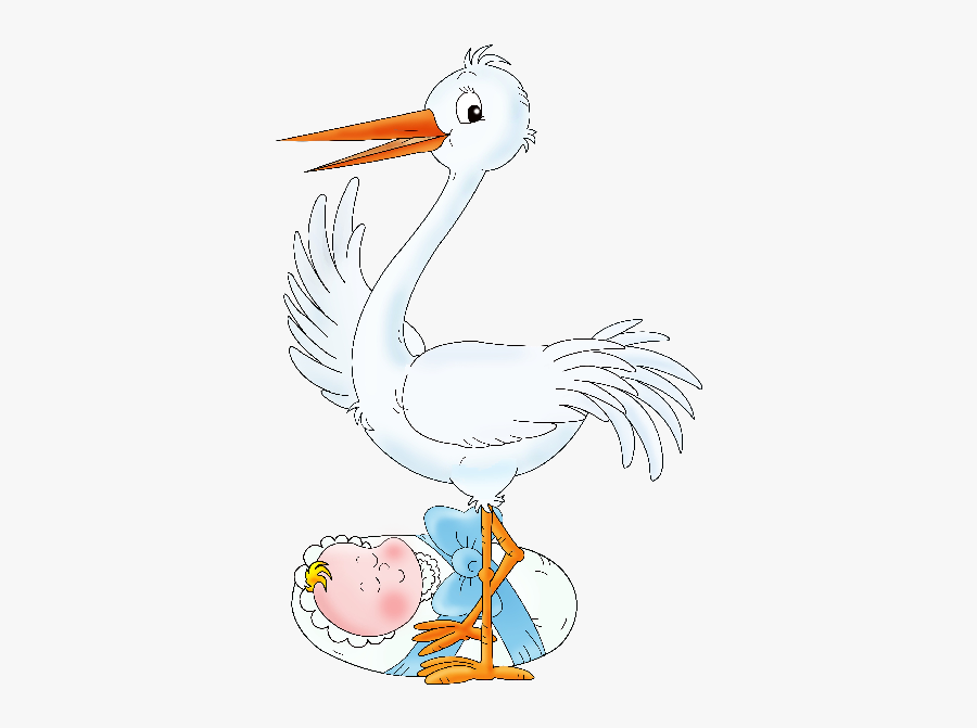 Stork, Transparent Clipart