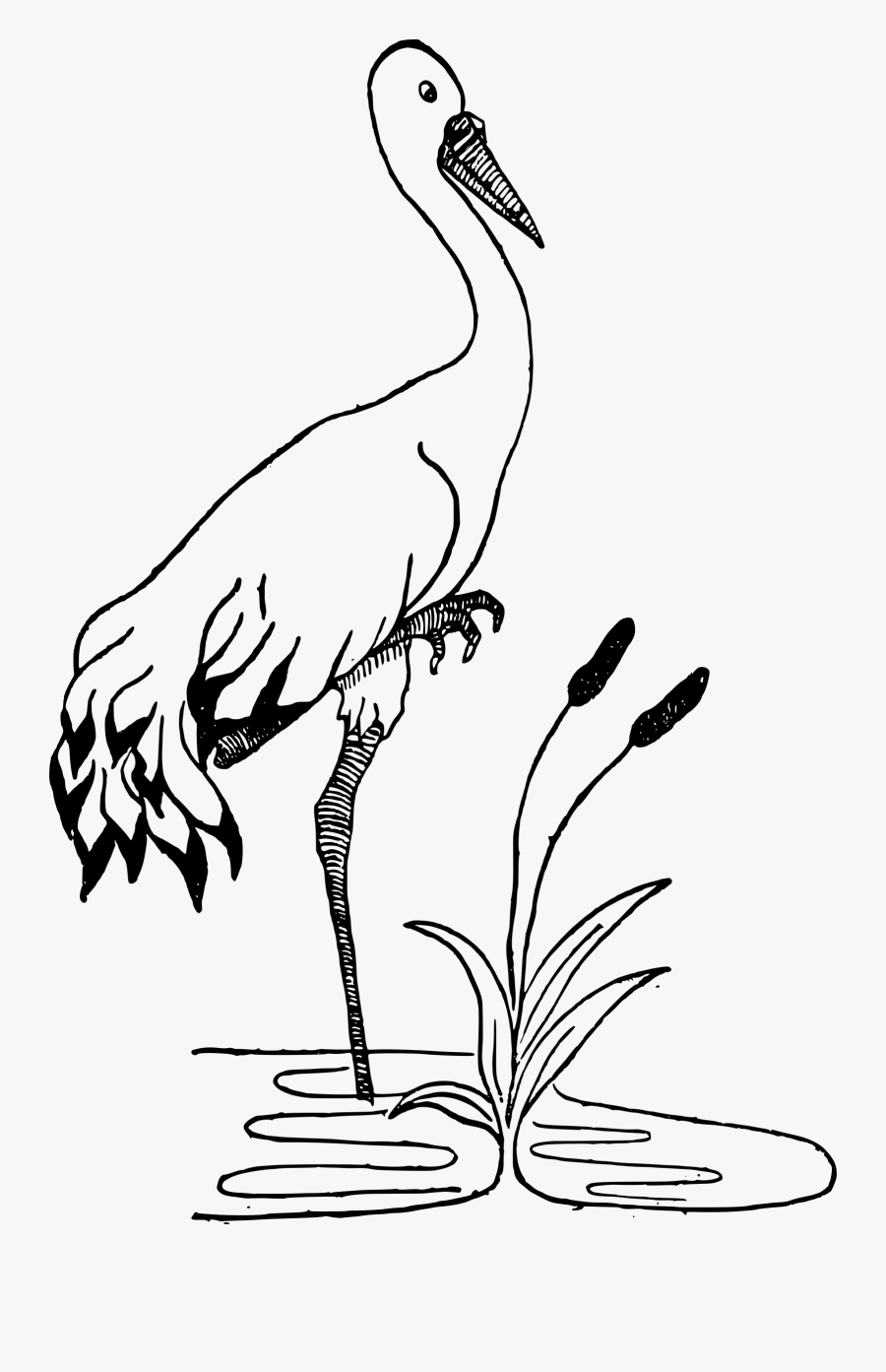 Free Crane In A Pond - Stork Clipart Black And White, Transparent Clipart