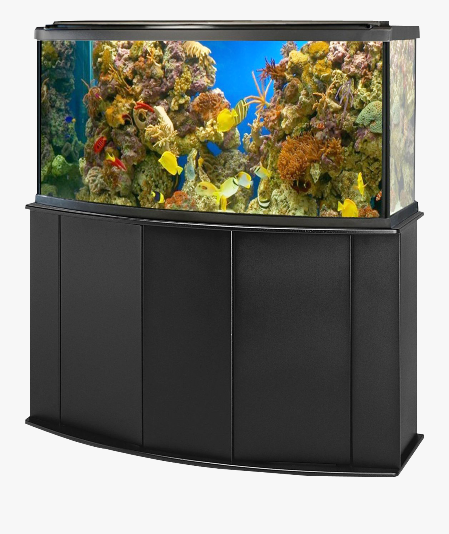 Aquarium Fish Tank Png Image - Aquarium Fish Tank Png, Transparent Clipart